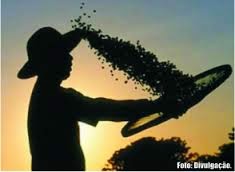 Tempo de serviço antes dos 12 anos de idade não conta para aposentadoria de trabalhador rural