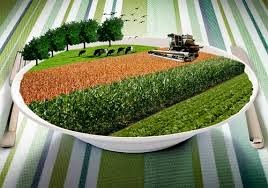 Agronegócio se mobiliza por desoneração de alimentos