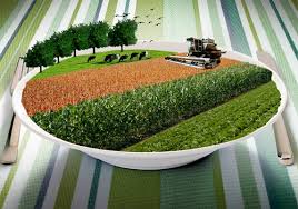 Ministro rejeita cobrança do INSS sobre exportações do agronegócio