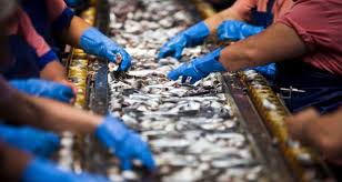 Faturamento do setor industrial cai 12,1% em 2016 ante 2015, diz CNI