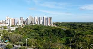 Comissão aprova contrapartidas ecológicas a quem construir acima de limites municipais
