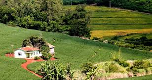 Certificado de Cadastro de Imóvel Rural pode ser pago sem multas até sábado (14)