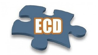 Representantes da Fenacon apresentaram proposta alternativa para o cancelamento e para a substituição da ECD