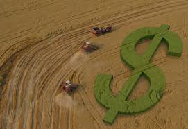 Caixa anuncia oferta de R$ 6 bilhões para crédito rural