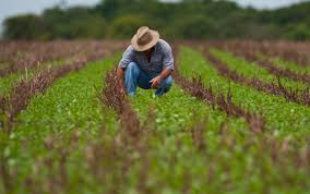 Pequeno produtor rural terá formalização facilitada