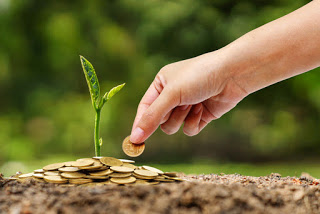 GO: Municípios conseguem liminar para fazer jus ao ICMS Ecológico