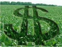 Renegociação de dívidas de agricultores tem novas regras