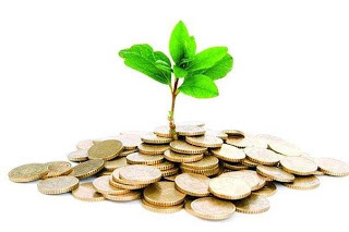 Finanças rejeita criação de estatuto da micro e pequena empresa rural