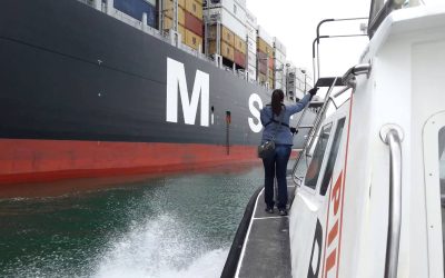 Medidas judiciais podem ajudar sociedades de praticagem a reduzir custos fiscais