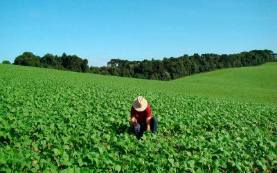 Servidor estatutário deve comprovar contribuições para ter direito à contagem recíproca do tempo de atividade rural