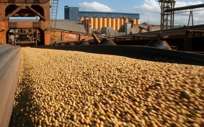 Exportações de produtos agrícolas, vantagens e desvantagens tributárias