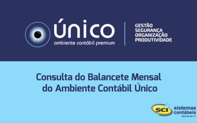 Utilize gráficos nos balancetes contábeis e aumente o valor percebido por seus clientes