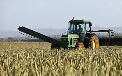 Receita orienta sobre recolhimento da contribuição do Produtor Rural Pessoa Física