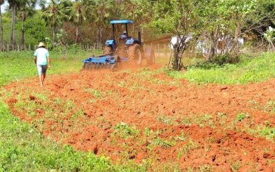 Segurado especial terá novas regras para comprovar atividade rural