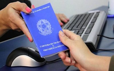 PNAD Contínua trimestral: desocupação cresce em 14 das 27 UFs no 1º trimestre de 2019