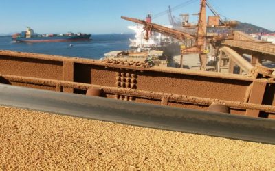 Audiência define prazo de seis meses para comissão formada pela União e estados debater conciliação sobre compensações da Lei Kandir