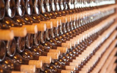 Vinhos catarinenses ganham competitividade com saída da Substituição Tributária