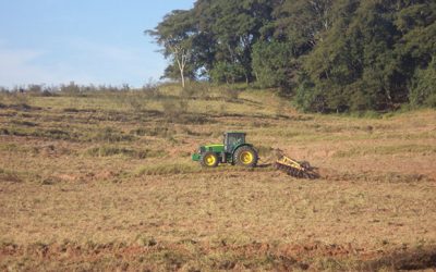 Trabalho rural remoto exercido antes de 1991 pode ser computado para aposentadoria híbrida por idade