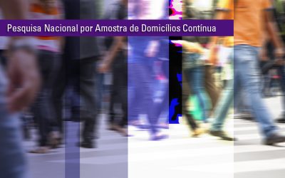 PNAD Contínua Trimestral: desocupação fica estável em 25 das 27 unidades da federação no 3° trimestre de 2019