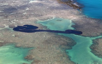 Caixa começa a pagar auxílio emergencial a pescador na próxima segunda