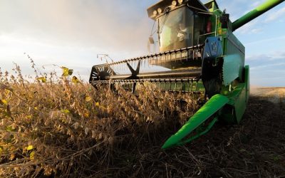 Plenário mantém na MP do Agro regra sobre garantia em empréstimo rural