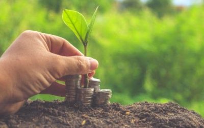 Plenário mantém em MP subsídios ao crédito rural por meio de bancos privados