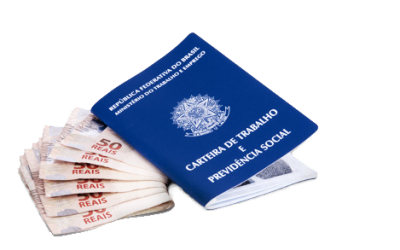 Saiba mais sobre Programa de Manutenção de Emprego e Renda