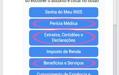 Helô realiza mais de 500 mil atendimentos em 18 dias