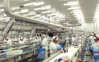 Medida provisória prorroga incentivo a empresas exportadoras