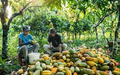 Bolsonaro sanciona apoio a agricultor familiar, mas veta auxílio emergencial