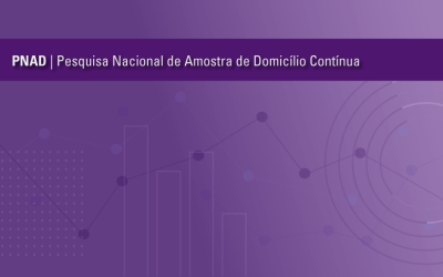 PNAD Contínua trimestral: desocupação cresce em 11 UFs no 2º trimestre de 2020, com quedas no Pará e Amapá
