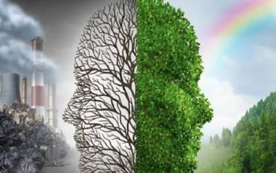 Profissional da contabilidade, precisamos falar sobre meio ambiente e mudanças climáticas