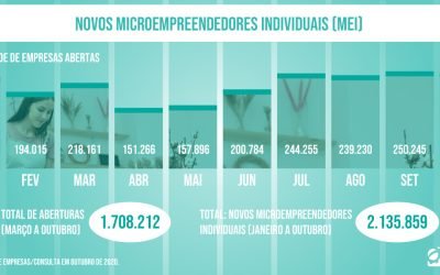 MEI: saiba como gerenciar sua empresa