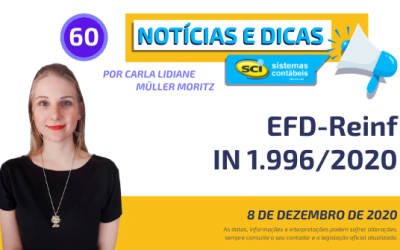 EFD-Reinf – IN 1.996/2020