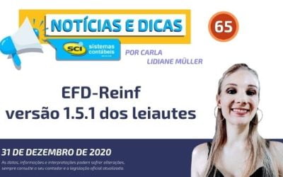 EFD-Reinf versão 1.5.1 dos leiautes