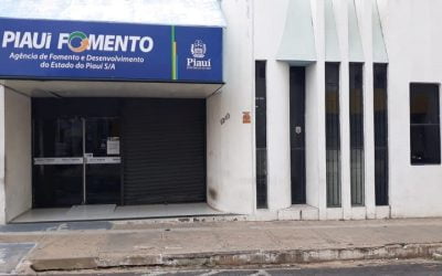 Piauí Fomento vai oferecer R$ 100 milhões em crédito para empresas e empreendedores informais
