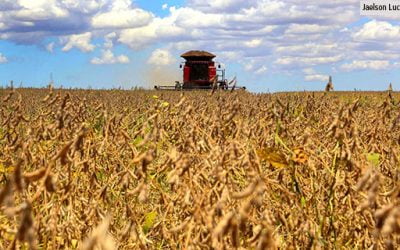 Agronegócio impulsionou a balança comercial brasileira em 2020