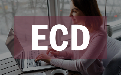 Publicação da Versão 8.0.4 do Programa da ECD