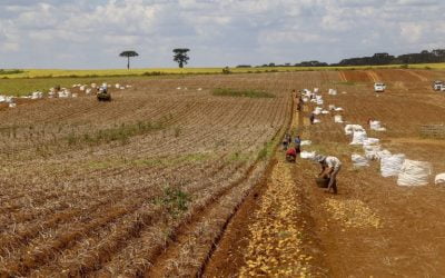 Comissão debate aumento de ICMS nos fertilizantes