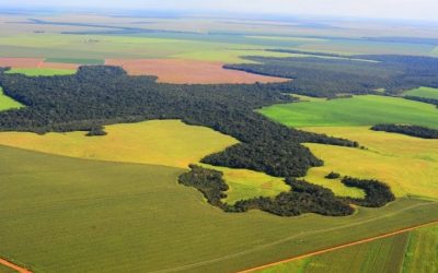 Receita prorroga prazo para prestação de informações sobre Valor da Terra Nua
