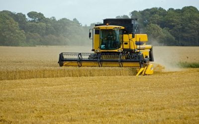 Em renegociação de dívida de crédito rural pela Lei 13.340/2016, cada parte responde pelos honorários de seu advogado