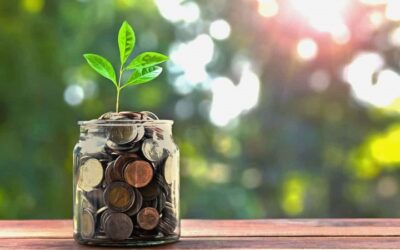 IFAC apoia a visão da IOSCO para uma linha de base global de normas de sustentabilidade voltadas ao investidor