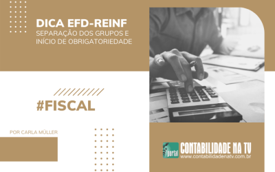 Dica EFD-Reinf: Separação dos grupos e início da obrigatoriedade