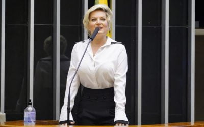 Câmara aprova projeto que torna permanente o Pronampe