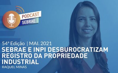 Sebrae e INPI desburocratizam registro da propriedade industrial