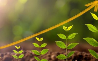 Estudo do Ministério da Economia confirma avanço das debêntures verdes