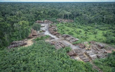 DECISÃO: Multa por infração ambiental aplicada pelo Ibama tem natureza não tributária e prazo prescricional de 5 anos