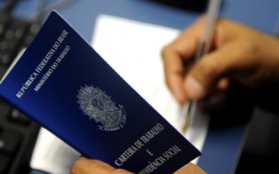 Pequenos negócios incrementam geração de empregos em 115%