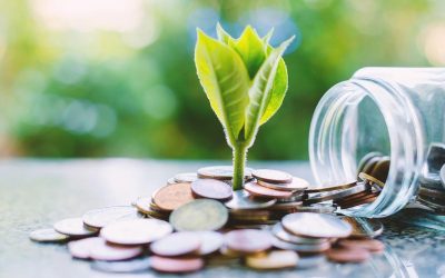 Cofiex aprova o Programa de Sustentabilidade Fiscal, Eficiência e Eficácia do Gasto Público dos Estados