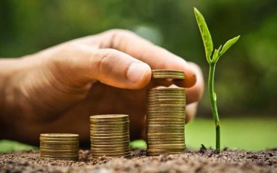 Projeto permite ao contribuinte deduzir do IRPF valores gastos com créditos de carbono